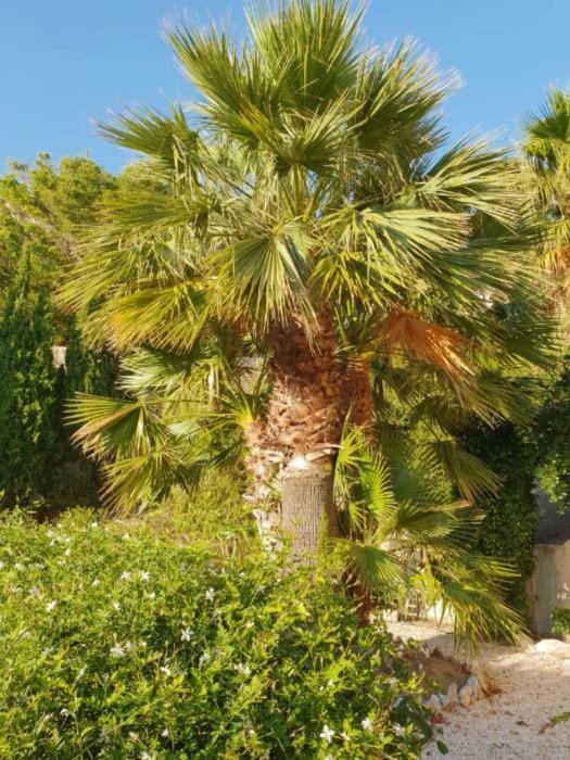 Banyan Cotobro Villa Almuñécar Dış mekan fotoğraf